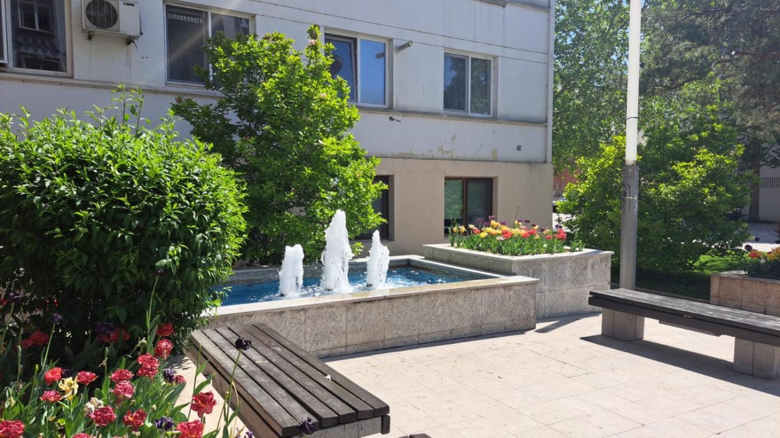 Apartament Kitty Centrul Istoric Craiova Dış mekan fotoğraf