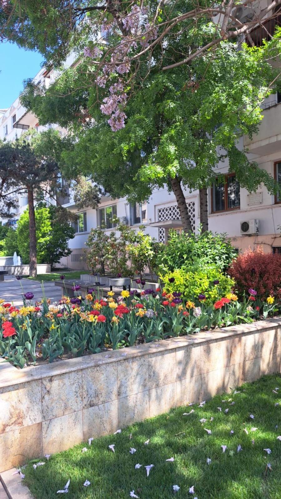 Apartament Kitty Centrul Istoric Craiova Dış mekan fotoğraf